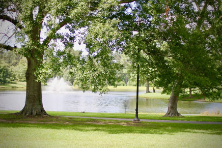 Jones College Lake