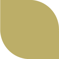 Geometric shape